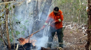 Bolivia sufre la “mayor crisis ambiental” de su historia tras incendios, afirman expertos 1