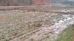 Autoridades de Luribay piden ayuda a la Gobernación tras los desbordes de ríos por las lluvias 1