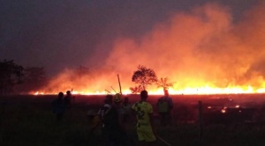 Asentamientos ilegales tras incendios amenazan al Parque Nacional Madidi, denuncian organizaciones 1