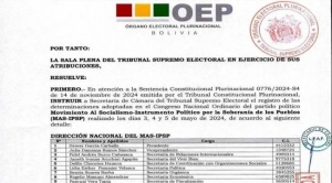 TSE notifica a Grover García con la decisión de que es presidente del MAS 1