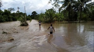 Senamhi emite 2 alertas por posible desborde de ríos en 8 departamentos; prevé lluvias para La Paz  1