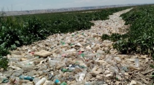 Basura, metales y aguas residuales  de casas, mataderos e industrias  fluyen sin cesar hacia el Titicaca 1