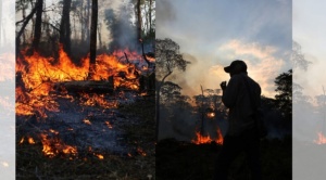 El 20,6% de los territorios indígenas titulados fue impactado por los incendios de este año 1