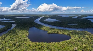 La Cruz Roja lanza un programa para combatir la crisis climática en la selva del Amazonas 1