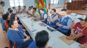 Relator de la CIDH observa que leyes incendiarias facilitan el desmonte, la quema de bosques y territorios indígenas 1