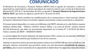 El Arancel Aduanero de Importaciones rige desde el 1 de enero de esta gestión 1