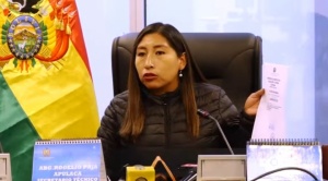 Comisión de Constitución de la Cámara Baja convoca a tratar el proyecto de ley de escaños 1