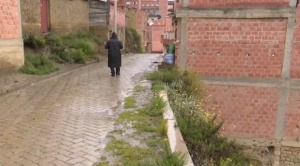 Seis viviendas en Alto La Portada están en riesgo, las sostiene un muro de llantas   1