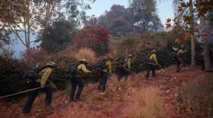 Incendios en Los Ángeles dejan 16 muertos y miles de evacuados 1