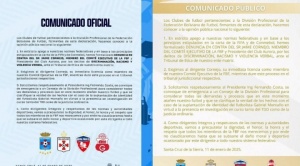 Real Santa Cruz y Royal Pari aún se consideran equipos de la División Profesional 1