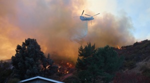 Aumenta a 24 la cifra de muertos por los incendios en Los Ángeles 1