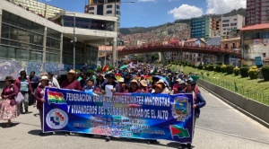 Gremiales de El Alto marchan en La Paz: exigen congelar créditos y la destitución de Silva, entre otros puntos 1