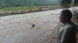 Una mujer es arrastrada por un río en Yungas; ya suman 5 las personas desaparecidas 1