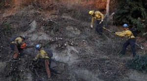 Nuevo incendio forestal en Los Ángeles obliga a evacuar a miles mientras crece rápidamente 1