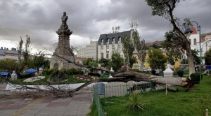 Fuertes lluvias y vientos provocan la caída de cuatro árboles en La Paz: San Pedro, el caso más alarmante 1