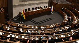 Agenda semanal de Diputados prevé el análisis de 4 préstamos externos por hasta $us 287 MM 1