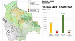 Un equipo de geomática ambiental establece que en Bolivia se quemaron 14 millones de hectáreas en 2024 1