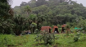 Senda Verde denuncia que personas desconocidas ingresaron a su santuario Passiflora 1