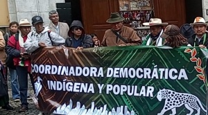 Grupos indígenas crean una Coordinadora y anuncian participación en las elecciones de 2025 1