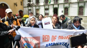 Colectivos señalan que explotación de litio afectará a bofedales, afirman que el país no está capacitado para la iniciativa 1