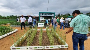 Exposoya reafirma la innovación en prácticas agrícolas sostenibles para aumentar la producción de alimentos 1