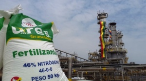 Gobierno confirma que planta de urea de Bulo Bulo no opera, por mantenimiento hasta marzo 1