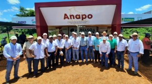 Anapo: “La restricción a la exportación de soya es el golpe de gracia a los productores” 1