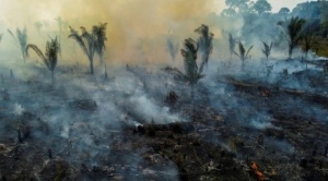 La deforestación en la Amazonía aumenta y reduce las lluvias, según un estudio 1