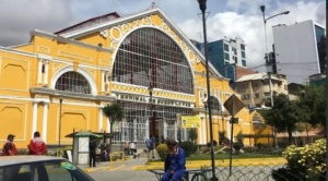 Habilitan salidas al interior del país desde las terminales de buses de La Paz y El Alto 1