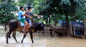 Inundaciones en la Amazonía de Bolivia afectan a 2.000 familias y el agua potable escasea 1