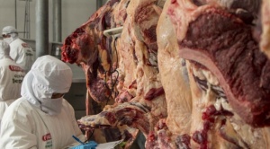 Gobierno reitera que si baja el precio de la carne se liberará la exportación 1