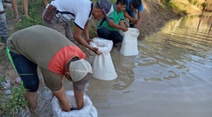 Comunidades de la Chiquitanía incursionan en la piscicultura como una alternativa sustentable 1