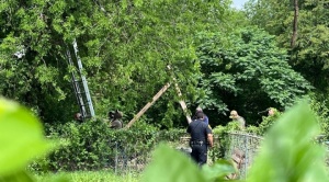 Migrante en EEUU pasó ocho horas subido a un árbol para evitar ser arrestado por migración 1