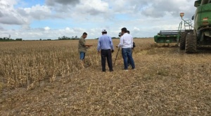 Gobierno reabre exportaciones de soya luego de mantener el veto por 5 meses 1