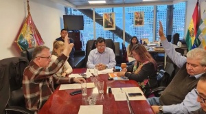 Presidenta de Botrading y el apoderado no se presentaron a declarar ante la comisión de Diputados 1