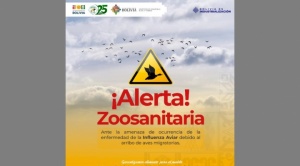 Senasag declara estado de alerta zoosanitaria en todo el país por influenza aviar 1