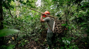 Inteligencia artificial y saberes ancestrales para sanar el cuerpo y el espíritu, un proyecto para la Amazonía   1