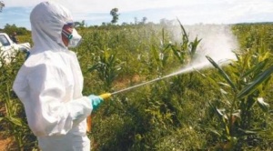 El MAB asegura que los transgénicos no aumentaron la productividad ni atrajeron divisas, pero sí incrementaron los agrotóxicos 1