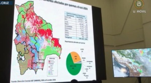 INRA dice que los incendios consumieron 9,8 millones de hectáreas de todo el país