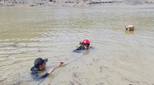 Encuentran el cuerpo de César Capiona, desaparecido en enero cerca del río Mapiri