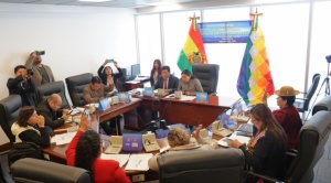 Comisión de Diputados aprueba dos proyectos de ley para blindar elecciones; Bazán denuncia  que hubo cambios 