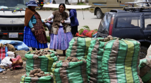 |OPINIÓN| Seguridad y soberanía alimentaria tema electoral| Claudia Arroyo y Matilde Rada|