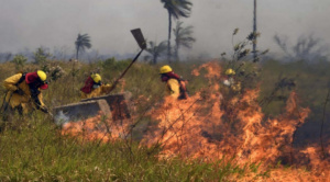 El fuego que no se aprende a apagar oportunamente