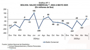 En mayo, el saldo comercial registró superávit de $us 13 millones