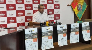Anapo prevé una producción de al menos 100 mil toneladas de trigo en la campaña de invierno 2025