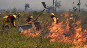 Santa Cruz supera los 3.300 focos de calor diarios y la Defensoría exige acciones urgentes para frenar los incendios forestales