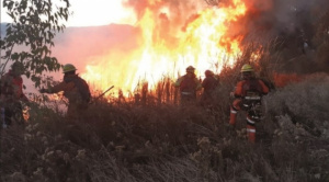 Defensoría ve falta de articulación institucional en el Conarade, pide acciones para prevenir incendios