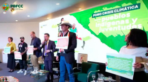Ausencia de vicepresidenciales y polémica por bonos de carbono  marcan foro sobre la crisis climática
