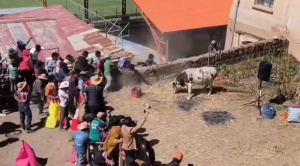 Tradicional corrida de toros en Charazani termina con seis heridos
