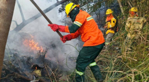 Nueve áreas protegidas dañadas por incendios y el Gobierno anuncia un protocolo de investigación